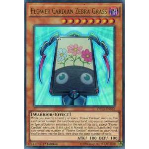 遊戯王 DRL3-EN032 花札衛-芒-(英語版 1st Edition ウルトラレア) Drag...