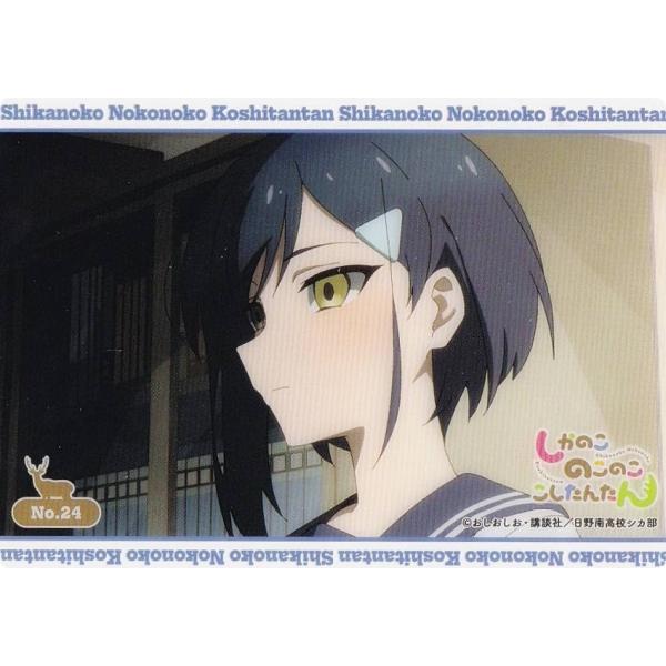 【No.24 燕谷千春】 ブシロード トレーディングカード コレクションクリア しかのこのこのここし...