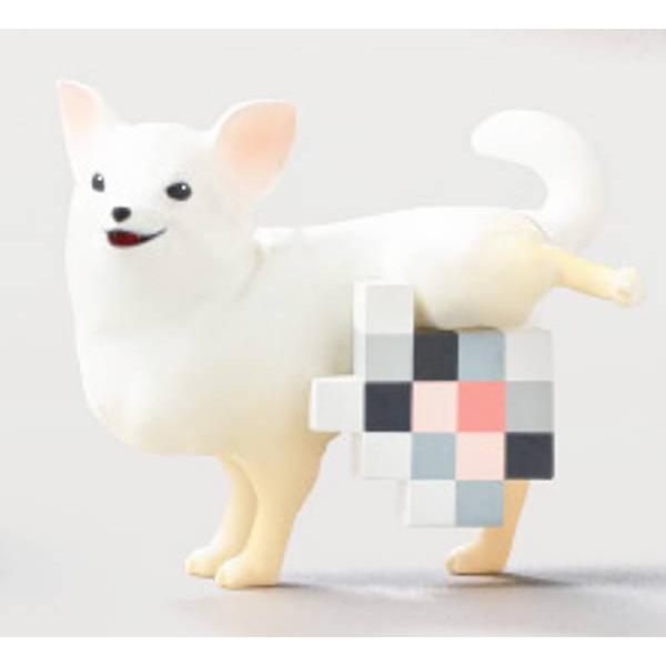 【チワワ】モザイヌ