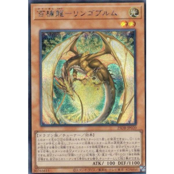遊戯王 25DB-JP020 百檎龍−リンゴブルム (日本語版 シークレットレア) DUELIST ...