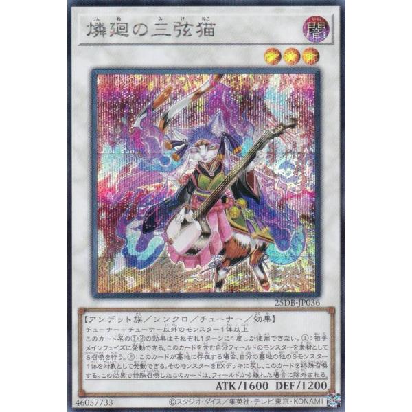 遊戯王 25DB-JP036 燐廻の三弦猫 (日本語版 シークレットレア) DUELIST BOX ...