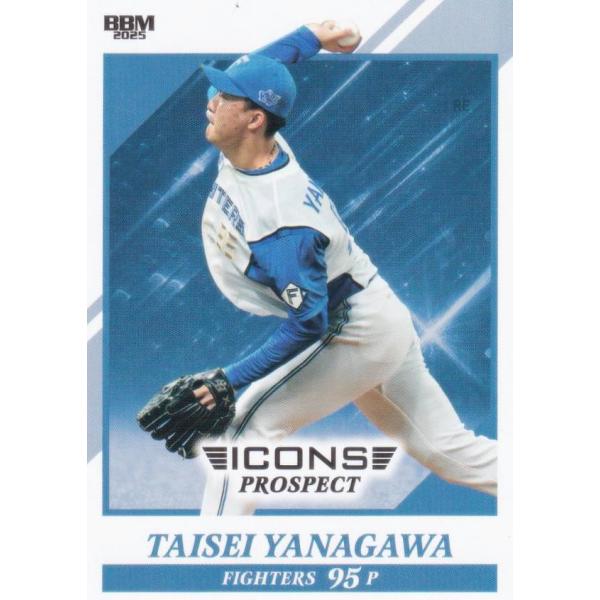 BBM ベースボールカード 24 柳川大晟 北海道日本ハムファイターズ (レギュラーカード)