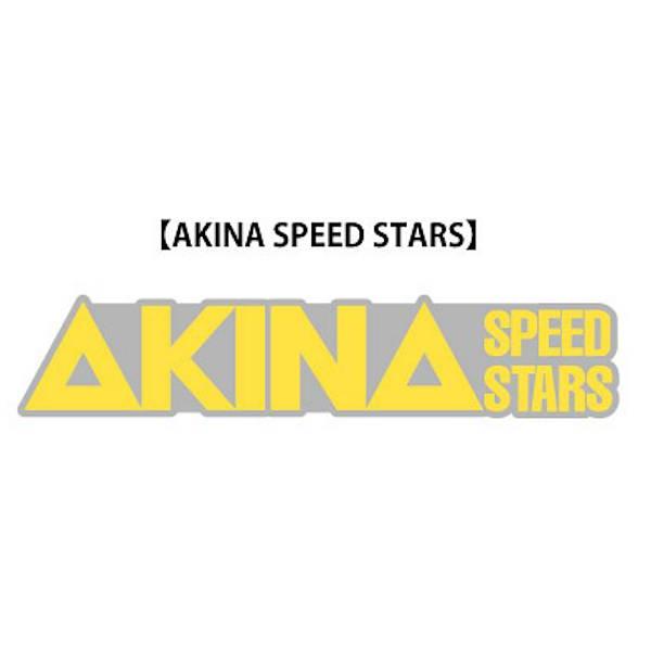 【AKINA SPEED STARS】 頭文字D ダイキャストピンズ