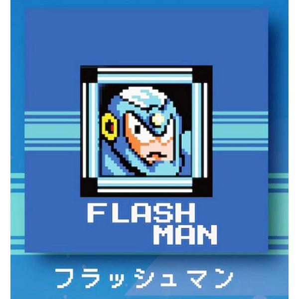 【フラッシュマン】 ロックマン2 Dr.ワイリーの謎 ステージセレクトマグネット