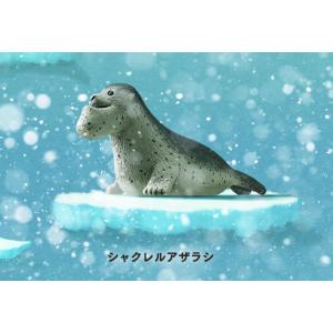 【シャクレルアザラシ】パンダの穴 SHAKUREL PLANET 3