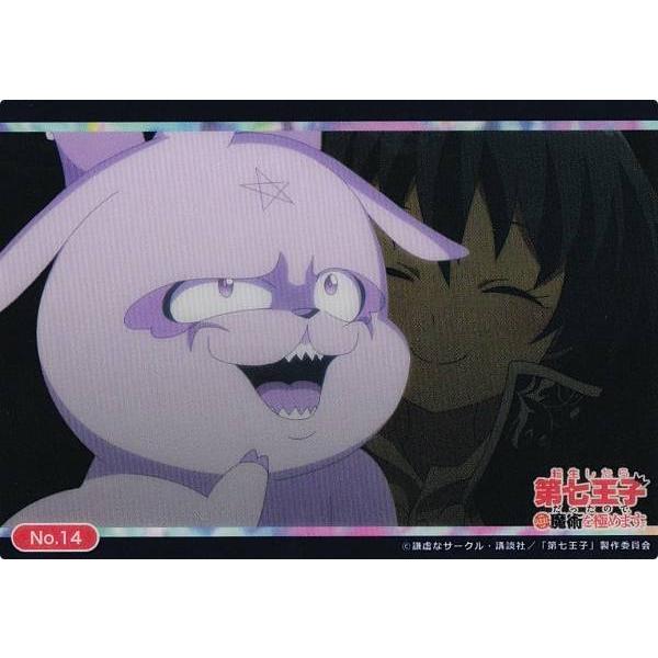 【No.14 グリモワール＆ロイド=ディ=サルーム】 ブシロード トレーディングカード コレクション...