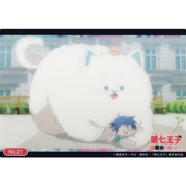 【No.21 シロ＆ロイド=ディ=サルーム】 ブシロード トレーディングカード コレクションクリア ...