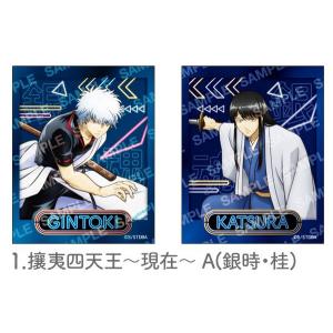 04.坂田銀時/中身：土方十四郎】 銀魂 ぱしゃこれ 其ノ参 : トレカ