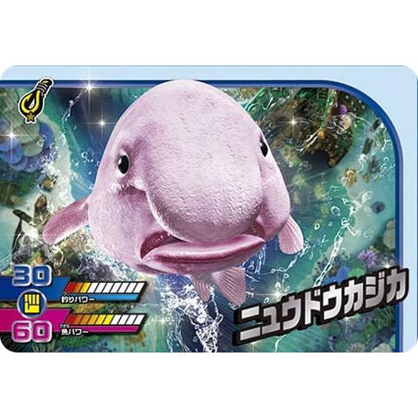 【1-20 ニュウドウカジカ (N ノーマル) 】カードダス 釣りスピリッツ ワンダー Vol.1