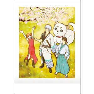 06.坂田銀時 (ノーマル)】銀魂 ぱしゃこれ 其ノ肆 : トレカショップ