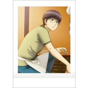 14.志村新八＆神楽 (ノーマル)】銀魂 ぱしゃこれ 其ノ肆