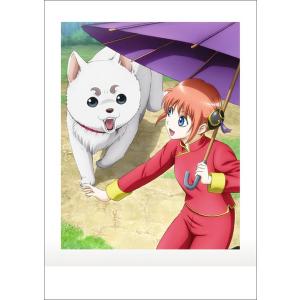 BOX.01 桂小太郎】銀魂 ぱしゃこれ 其ノ肆 : トレカショップ LEAD