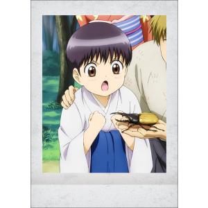 【銀魂】坂田銀時 ぱしゃこれ 其ノ参 52枚 まとめ売り 10.坂田銀時】 銀魂 ぱしゃこれ 其ノ参 - トレカ&ホビーの通販なら REALiZE