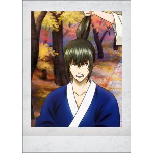 04.坂田銀時/中身：土方十四郎】 銀魂 ぱしゃこれ 其ノ参 : トレカ