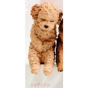 【トイプードル】 いっしょにねんね わんこ