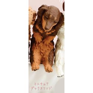 【ミニチュアダックスフンド】 いっしょにねんね わんこ