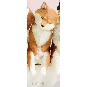 【しばいぬ】 いっしょにねんね わんこ
