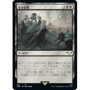 マジックザギャザリング DFT JP 20/54 灯を追う者、チャンドラ (日本語