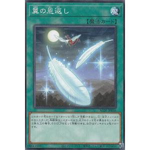 コナミデジタルエンタテインメント 遊戯王 ラッシュデュエル RD/AP02