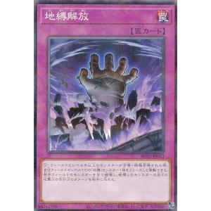 遊戯王 TW03-JP063 エルシャドール・メシャフレール (日本語版