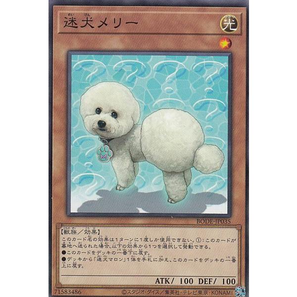 遊戯王 BODE-JP035 迷犬メリー (日本語版 ノーマルレア) バースト・オブ・デスティニー