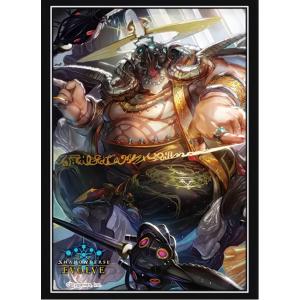 ヴァンガード DZ-BT13/006 決意と罪を抱く者 リィエル＝アニムス (RRR