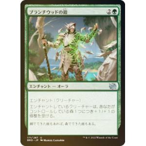 ヴァンガード D-BT04/SP15 彷徨の獄竜 (SP スペシャル) : トレカ