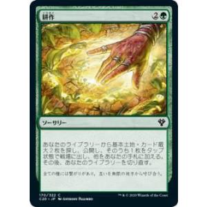 遊戯王 ラッシュデュエル RD/5TH1-JP142 ハーピィ・ガール (日本語版