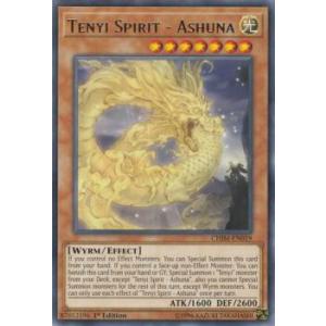 Yu-Gi-Oh! Card - Flawless Perfection Of The Tenyi (RIRA-EN058) - Rare 1st Edition