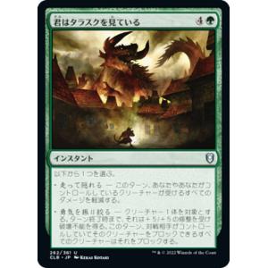 FOIL/隠れ潜む邪悪】マジックザギャザリング DSK JP 0293 続