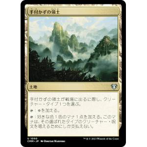 シルバースクロール・FOIL/日本画版】マジックザギャザリング SOA JP