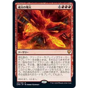 ヴァンガード D-BT13/FFR03 焔天の装裂竜 アパラジア (FFR ダブル