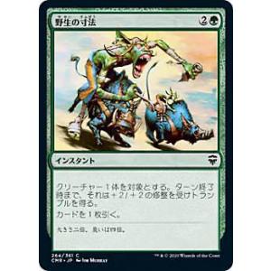 FOIL】マジックザギャザリング RVR JP 0239 野生の朗詠者 (日本語版 野生の朗詠者Foil