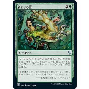 マジックザギャザリング DFT JP 20/54 灯を追う者、チャンドラ (日本語