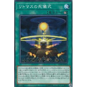 MTG　セラの聖域　日本語版　マジック・ザ・ギャザリング マジックザギャザリング セラの聖域 日本語版 マジック・ザ