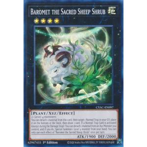 キモリ [ADV 第1弾構築済みスターター キモリデッキ] 003/019 傷有り