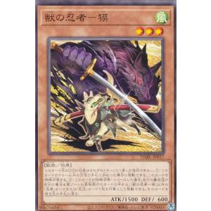ヴァンガード　竜騎士　ピサロ　バディレア　4枚　BR ヴァンガード 竜騎士ピサロ バディレア 4枚 BR - メルカリ