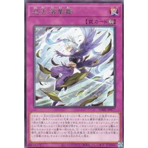 遊戯王オフィシャルカードゲーム デュエルモンスターズ 遊戯王カード