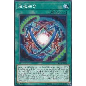 遊戯王 本格構築【ワイトデッキ】メイン&EX15&スリーブ : 自遊堂