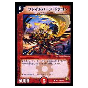 カードファイト!! ヴァンガード ショップの常連の女の子 スイナ RRR DZ