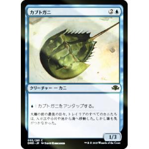 敬虔なガード、ワッカ 拡張foil 日本語 ミントモール / MINT GAMES MTG(東日本橋) / 【FIC】【ENG
