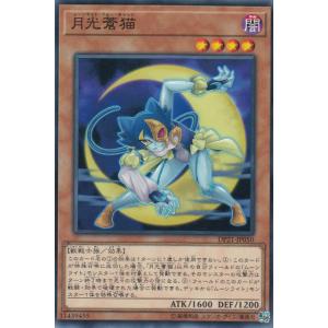 【プレイ用】遊戯王 DP21-JP050 月光蒼猫 (日本語版 ノーマル) デュエリストパック −レジェンドデュエリスト編4− 【中古】