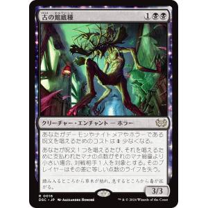 シルバースクロール・FOIL/日本画版】マジックザギャザリング SOA JP