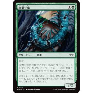 マジックザギャザリング DSK JP 0178 肉潜り虫 (日本語版 コモン) ダスクモーン：戦慄の館 (MTG)