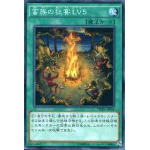 コナミデジタルエンタテインメント ブラック・マジシャン/Dark