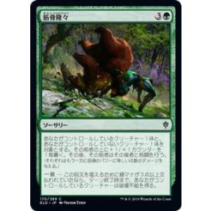 MTG シングル 神話レア ホーントウッドの大主・トークン 計8枚セット販売 ホーントウッドの大主/Overlord of the Hauntwoods 【日本語版
