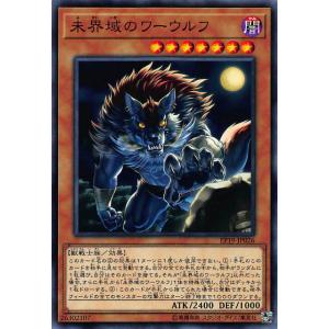 遊戯王 CH02-JP041 大輪の霊使い (日本語版 ウルトラレア) THE