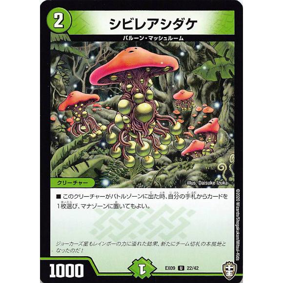 デュエルマスターズ DMEX09 22/42 シビレアシダケ (U アンコモン) Wチームドッキング...