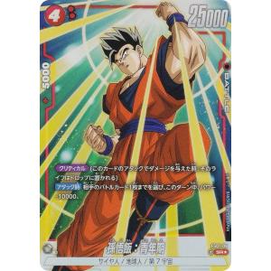 パラレル】ユニオンアリーナ EX12BT/KMR-2-069 仮面ライダーディケイド