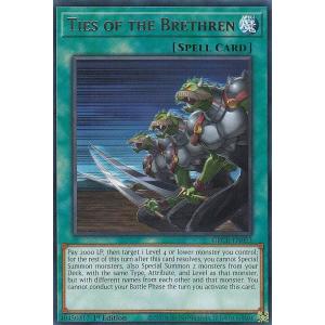 遊戯王　英語版セット 61Gi3pkmu7L._UF350,350_QL50_.jpg